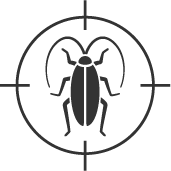 CA Pest Control Services Cockroaches