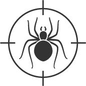 CA Pest Control Services Spiders