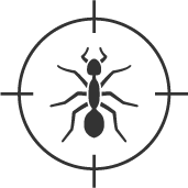 CA Pest Control Services Ants